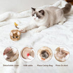 Migipaws Interactive MigiMouse Cat Toy 360° Rolling & Spin with Mesh Plastic Tail for Indoor Cats Smart Motion Sensor, Realistic Squeak, Rechargeable Plush Kitten Toy(Brown Long) - Image 6