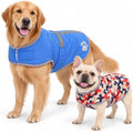 Reversible Dog Coat for Medium Dogs, 2-in-1 Winter Jacket, Blue, L by Retreon-DogClothingCollection