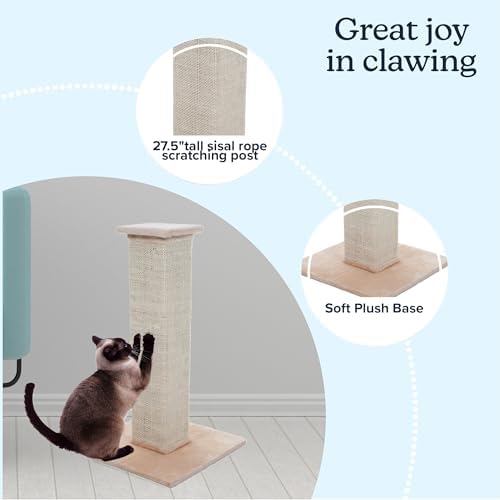 Cat Scratching Post with Carpeted Base - 27.75-Inch Sisal Burlap Fabric Scratcher - Furniture Scratching Deterrent for Indoor Cats by PETMAKER (Beige) - Image 2