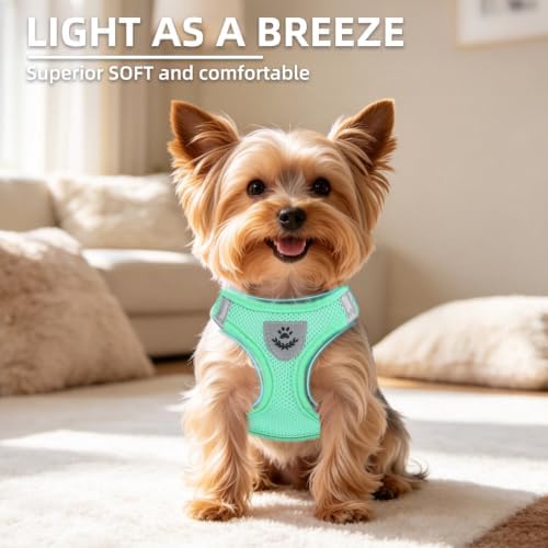 PUPTECK Dog Harness, Collar and Leash Set No Pull for Small Medium Sized - Image 3