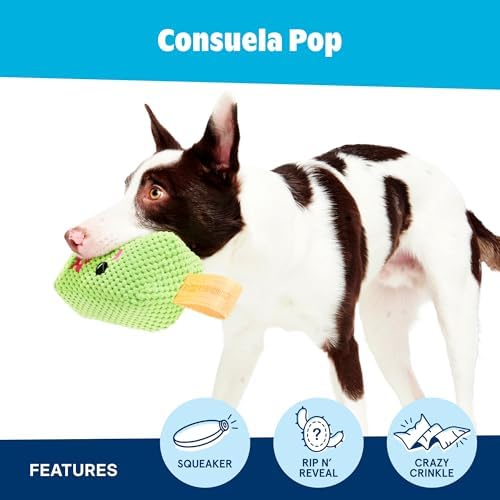 BarkBox BARK Consuela the Cactus Pop - 2-in-1 - Large - Image 3