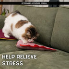 pawdaz Large Cat Toy Dino, Catnip Matatabi Silvervine Filled Help Relief Stress Interactive Indoor Cat Kicker with Bell and Smell(Pink) - Image 2