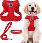 PUPTECK Dog Harness, Collar and Leash Set No Pull for Small Medium Sized by PUPTECK