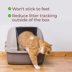 Genius Litter Health Monitoring Cat Litter, Featured on Shark Tank, Lightweight Crystal Silica Gel, Non Clumping, Dust Free, Low Tracking, Odor Control for Indoor Cats and Kittens, 2 Bag (12lb)