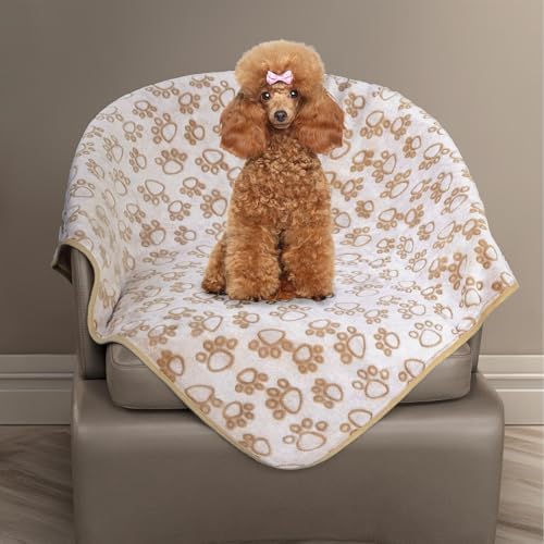 Stuffed Small Beige Premium Soft Dog Blanket, with Flannel Beige Cute Paw Print, 24 * 32 inches, Cat Blanket Puppy Supplies Poodle‌ Dog Products Stuff Essentials by STUFFED