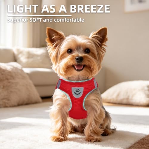 PUPTECK Dog Harness, Collar and Leash Set No Pull for Small Medium Sized - Image 3