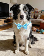 PET SHOW 30 Pack Paw Print Dog Bowties Bulk for Large Dogs - Image 5