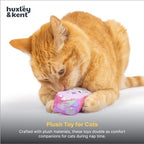 Huxley & Kent Plush Cat Toy - Interactive Catnip Toy for Cats & Kittens - Soft with Crinkle & Catnip - Fun Indoor Play - Hoppy Easter 2pk - Image 6