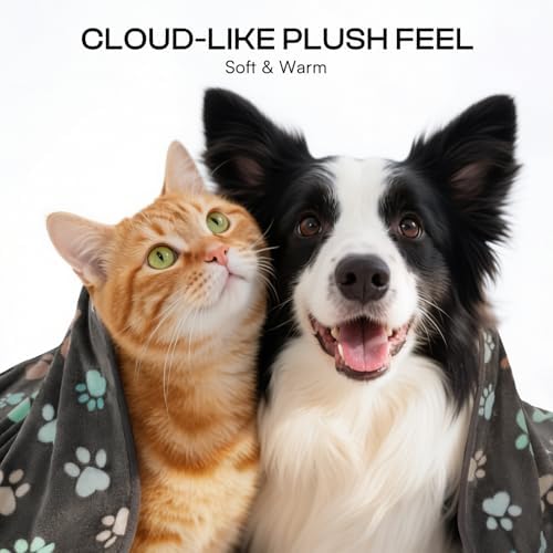Luciphia 1 Pack 6 Dog Blankets Cat Soft Fluffy Fleece Pet Blanket Warm Cute Print Design Puppy Kitten Doggy Paw Large(41"x31") - Image 2