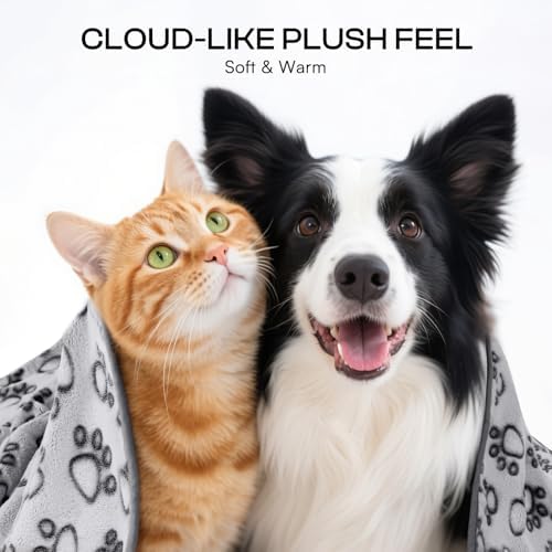 Luciphia 1 Pack 6 Dog Blankets Cat Soft Fluffy Fleece Pet Blanket Warm Cute Print Design Puppy Kitten Doggy Paw Grey Large(41"x31") - Image 2