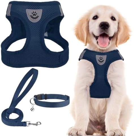 PUPTECK Dog Harness, Collar and Leash Set No Pull for Small Medium Sized by PUPTECK