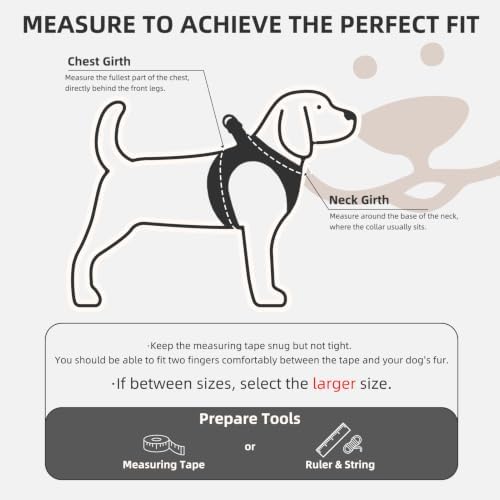 PUPTECK Dog Harness, Collar and Leash Set No Pull for Small Medium Sized - Image 2