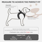 PUPTECK Dog Harness, Collar and Leash Set No Pull for Small Medium Sized - Image 2
