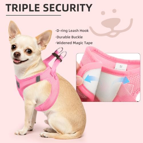 PUPTECK Dog Harness, Collar and Leash Set No Pull for Small Medium Sized - Image 5