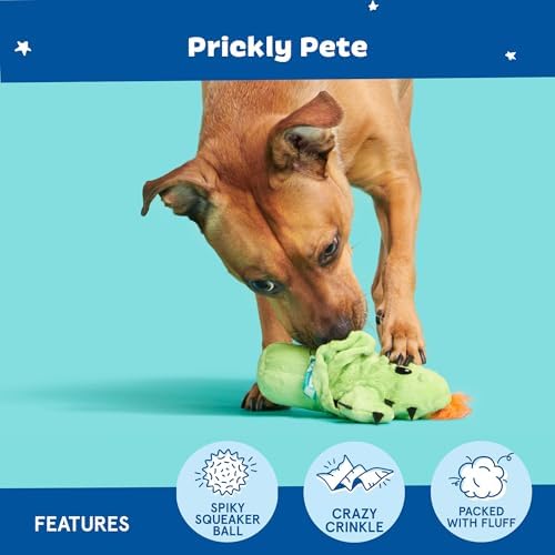 BarkBox 2 in 1 Interactive Plush Dog Toy - Rip and Reveal Toy for Dogs and Puppies - Stimulating Squeaky Pet Toys | Prickly Pete (Small) - Image 4