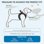 PUPTECK Dog Harness, Collar and Leash Set No Pull for Small Medium Sized - Image 2