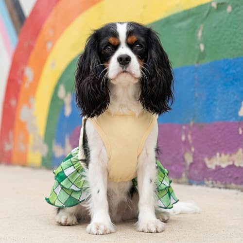 Fitwarm Happy Go Lucky Dog Dress, St Patricks Day Dog Clothes for Small Dogs Girl, Funny Pet Outfit, Green, Light Yellow, Small - Image 3