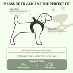 PUPTECK Dog Harness, Collar and Leash Set No Pull for Small Medium Sized - Image 2