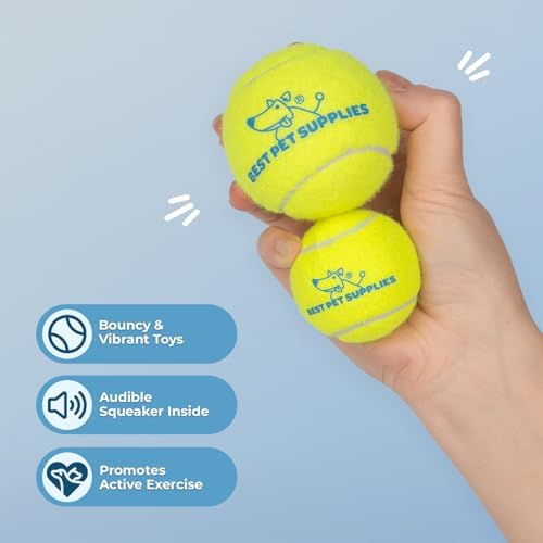 Best Pet Supplies Interactive Squeaky Dog Chew Toy, Ideal Dog Toys for Chewers, Small, Medium & Large Dogs, and Fetch Lovers - Tennis (Yellow), Medium (Pack of 4) - Image 2