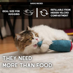 pawdaz Big Fish Cat Kicker Toy - Refillable Catnip Matatabi Silvervine Filled and Help Relief Anxiety - Kitten Catnip Essentials Treats Supplies Large Interactive Chew for Indoor Cat (Blue) - Image 2