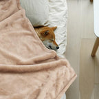 Onarway Dog Blanket Washable for Puppy: 4 Packs Dog Blankets 28”x20” - Image 2