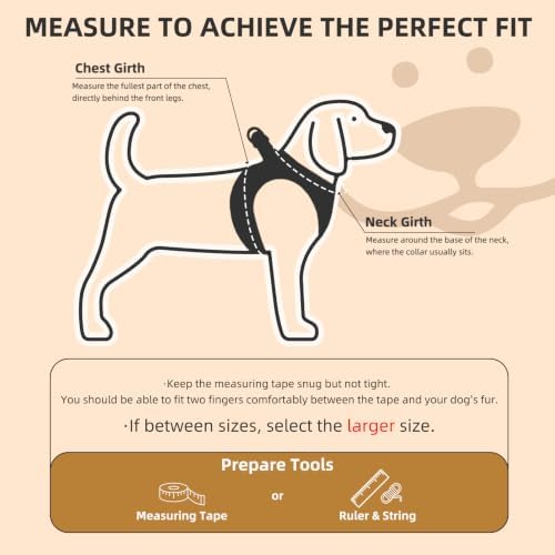 PUPTECK Dog Harness, Collar and Leash Set No Pull for Small Medium Sized - Image 2