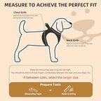PUPTECK Dog Harness, Collar and Leash Set No Pull for Small Medium Sized - Image 2