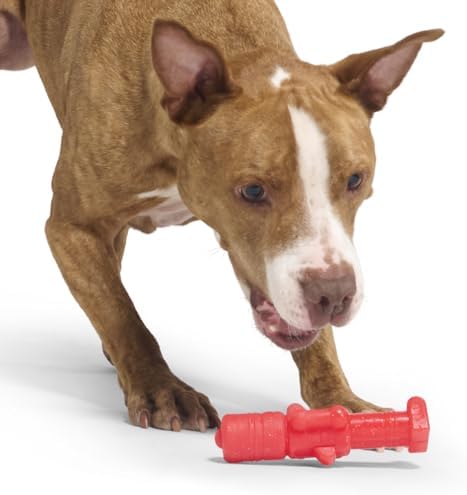 BarkBox The Gnawtcracker Super Chewer - Toy for Large Dogs - Image 6