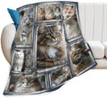 Maine Coon Cat Blanket Cute Kitten Throw Stuff Gifts 80"x60" by Unknown