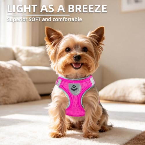 PUPTECK Dog Harness, Collar and Leash Set No Pull for Small Medium Sized - Image 3