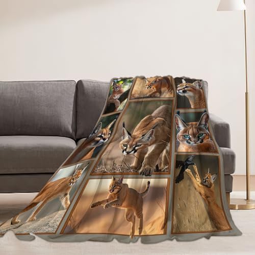 Caracal Blanket African Caracal Animal Lover Throw Blankets Gifts for Girls Boys Kids Soft Cozy Fleece Plush for Couch Sofa Bed 60"x50" - Image 4