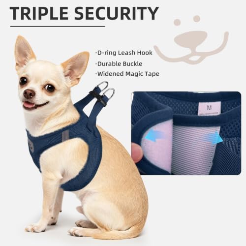 PUPTECK Dog Harness, Collar and Leash Set No Pull for Small Medium Sized - Image 5