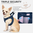 PUPTECK Dog Harness, Collar and Leash Set No Pull for Small Medium Sized - Image 5