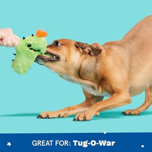 BarkBox 2 in 1 Interactive Plush Dog Toy - Rip and Reveal Toy for Dogs and Puppies - Stimulating Squeaky Pet Toys | Prickly Pete (Small) - Image 5