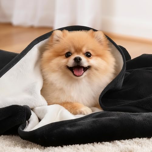LOOBANI Waterproof Dog Blanket for Small Dogs, Pet Blanket 30" x 40", Black - Image 6