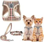 PUPTECK Dog Harness, Collar and Leash Set No Pull for Small Medium Sized by PUPTECK