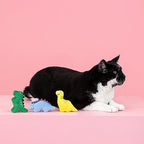 Fringe Studio Plush Cat Toy Set, Rawr-Some Crew, Mini 3 Piece Set, Approx. 3" x 3.5",Pet Shop Collection (904036) - Image 3