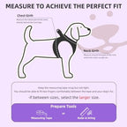 PUPTECK Dog Harness, Collar and Leash Set No Pull for Small Medium Sized - Image 2
