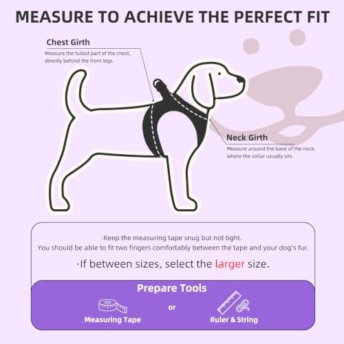 PUPTECK Dog Harness, Collar and Leash Set No Pull for Small Medium Sized - Image 2