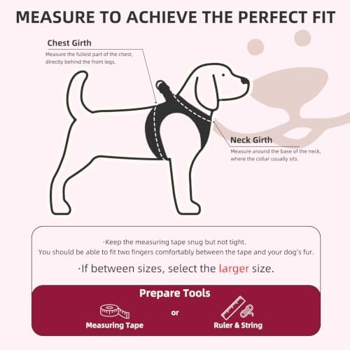 PUPTECK Dog Harness, Collar and Leash Set No Pull for Small Medium Sized - Image 2