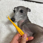 Tiny Small and Medium Dog Toothbrush Made in Korea Brush Bristles That are Soft and Do Not Irritate Your Dog’s Gums Small Toothbrush Grip and Excellent Tartar Removal (4pcs)
