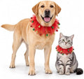 Dog Collar,S by Retreon-DogClothingCollection
