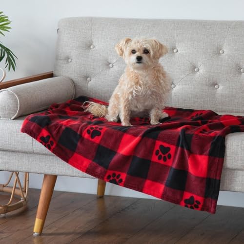 Pet Dog Cat Blanket Ultra Soft Cozy Fleece Paw Print Design Machine Washable Durable for Crates Beds Sofas Travel (Buffalo Paws, Large) - Image 2