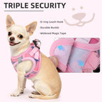 PUPTECK Dog Harness, Collar and Leash Set No Pull for Small Medium Sized - Image 5