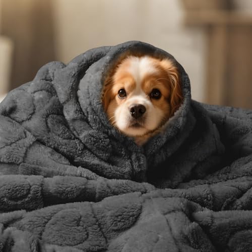 Luciphia Waterproof Dog Blanket, Reversible Sherpa Fleece for Couch Cover - Image 6