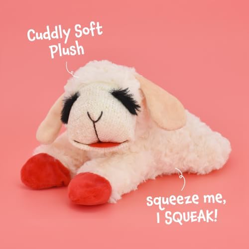 Multipet Lamb Chop Dog Plush Toy 10", Cream, 5 Squeakers - Image 5