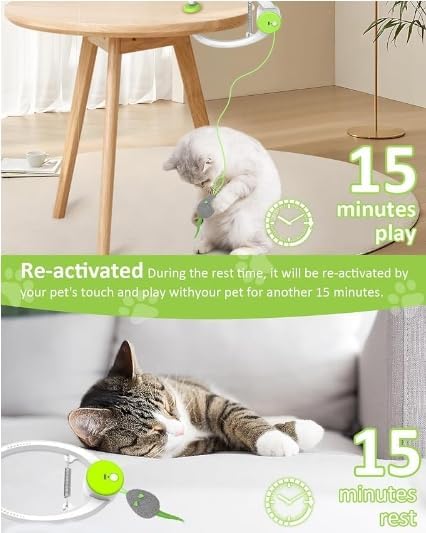 Interactive Cat Toys for Indoor Cats - Automatic Flying Bird Feather Toy Chase Exercise Enrichment Stimulation, Rechargeable Durable Safe Kitten & Adult Cat Electric Hanging Toy for Bored Cats (White)