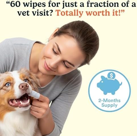 Jasper Dog Dental Wipes, Finger Tooth Wipes for Dogs, Coconut 60-Count | No-Brush Dual Texture Disposable Wipes for Fresh Breath, Daily Plaque & Tartar Control with Natural Ingredients, Vet Approved
