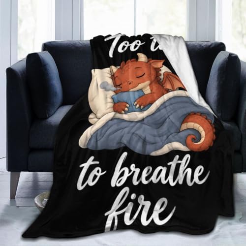 Sleepy Dragon Blanket Throw Gift for Girls Women 60"X50" by Unknown