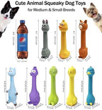 SCHITEC Squeaky Dog Toys, [2 Pack] Squawking Latex Toy with Interactive Squeaker, Squeak Rubber Duck Chicken for Medium Small Dogs - Image 6